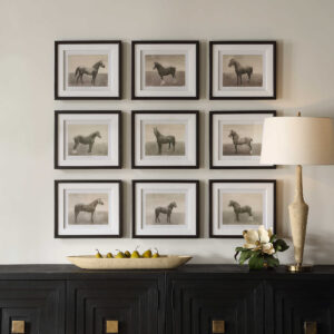 EQUINE DYNASTY FRAMED PRINTS | Uttermost Accessories and Decor | Wall Art | Hafers Home Furnishings